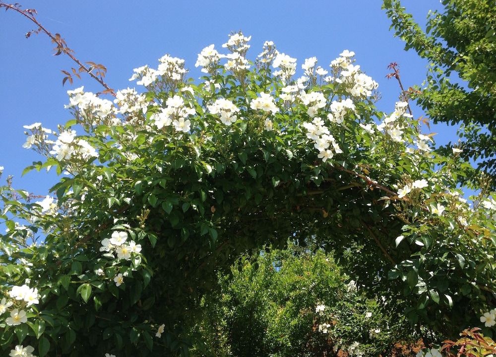Photo of Outdoor in Monterubbiano