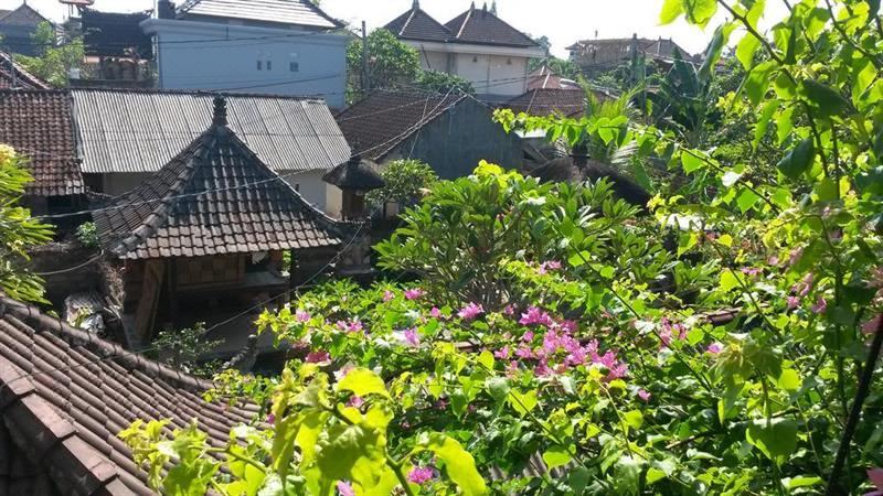 Photo of Buildings in Ubud City-Centre