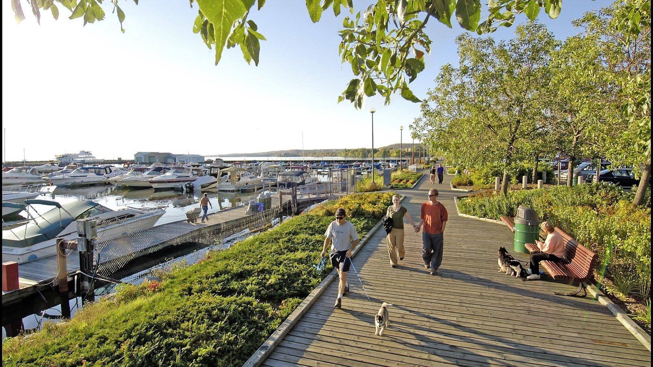 Photo of Others in North Bay