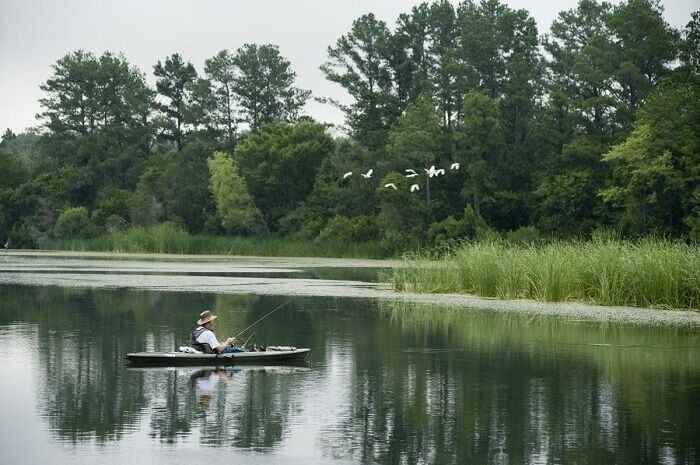 Photo of Others in Bastrop