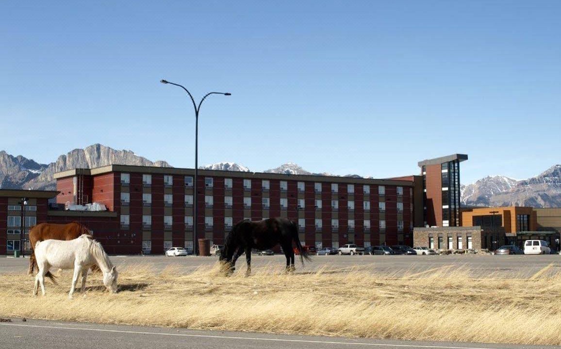 Photo of Buildings in Kananaskis