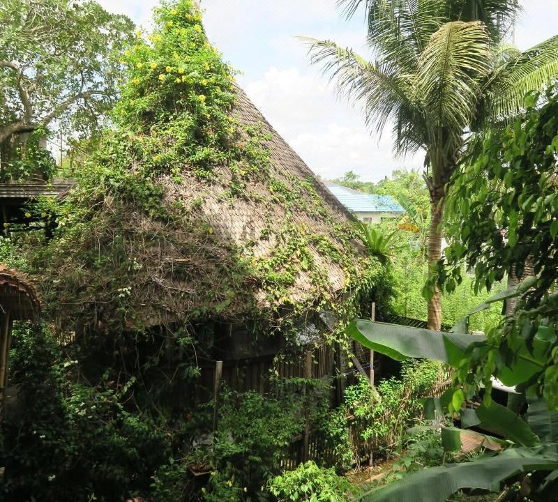 Photo of Outdoor in Palangkaraya