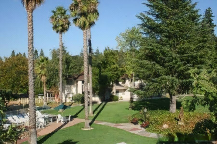 Photo of Outdoor in Los Gatos