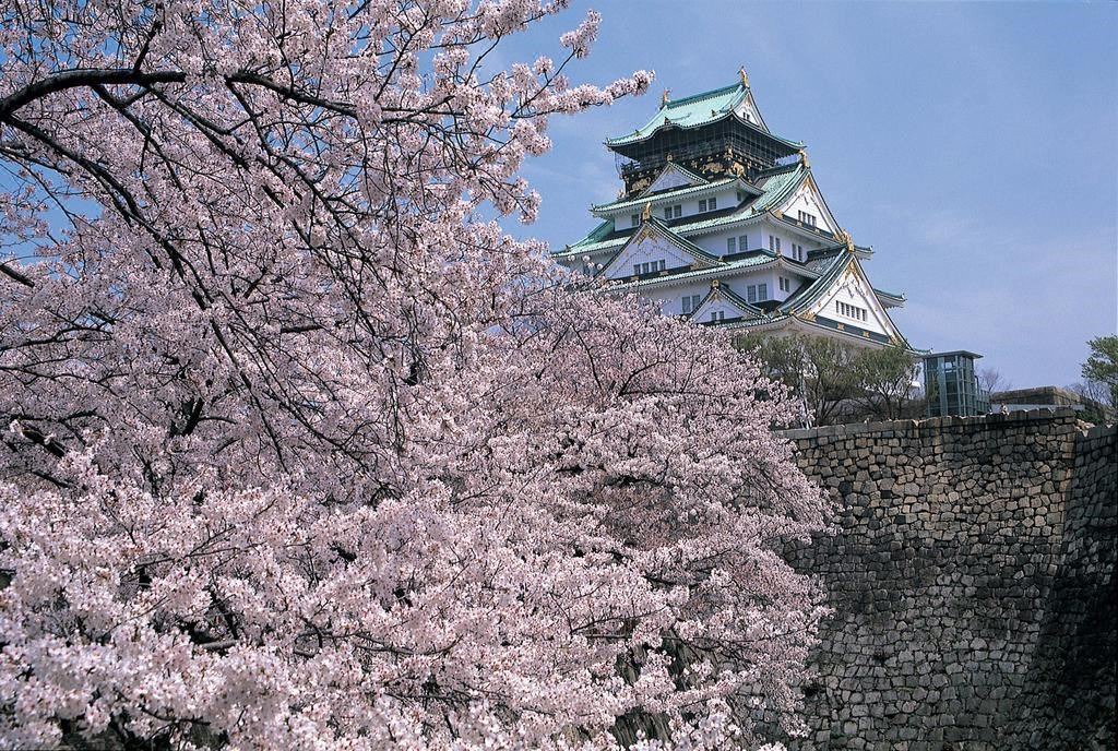 Photo of Buildings in Miyakojima