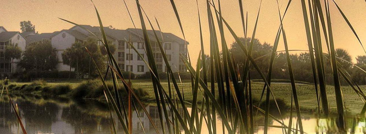 Photo of Others in St. Simons Island