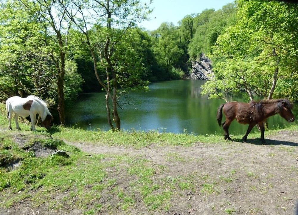 Photo of Others in Okehampton