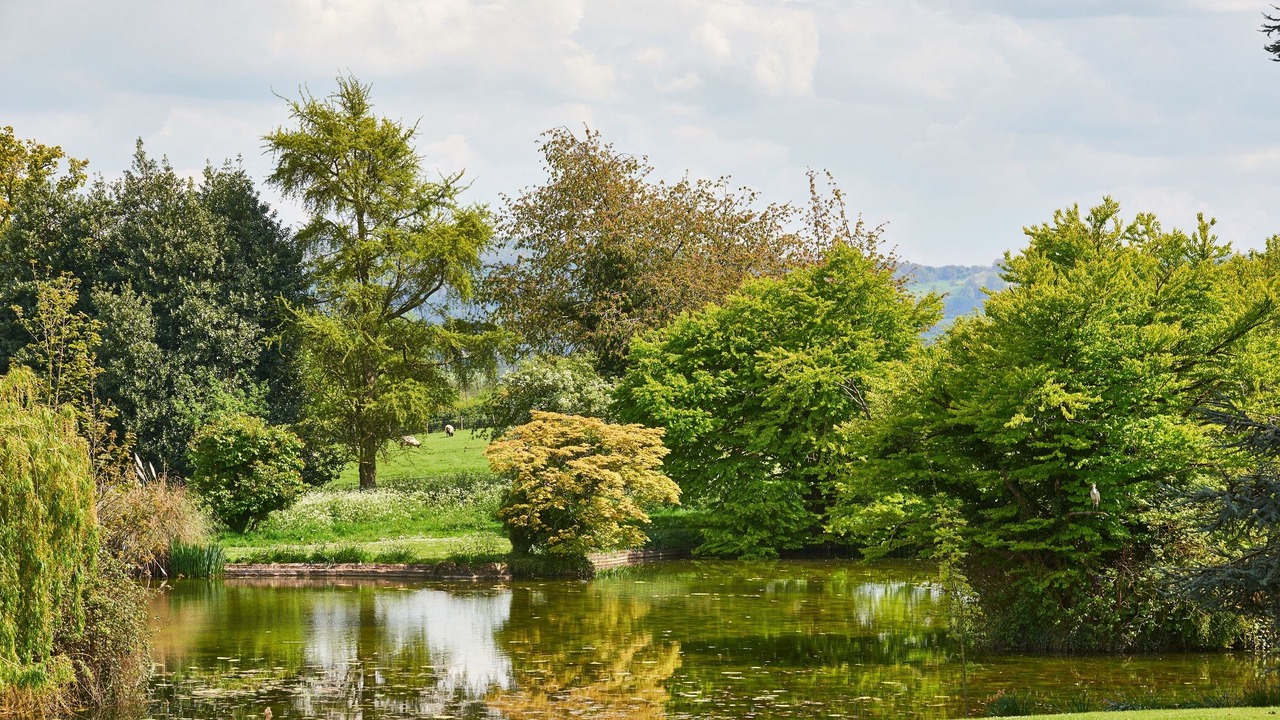 Photo of Outdoor in Dumbleton