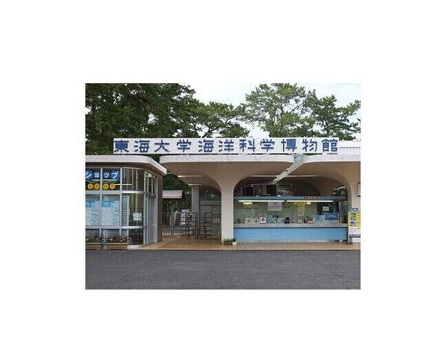 Photo of Buildings in Shimizu Ward