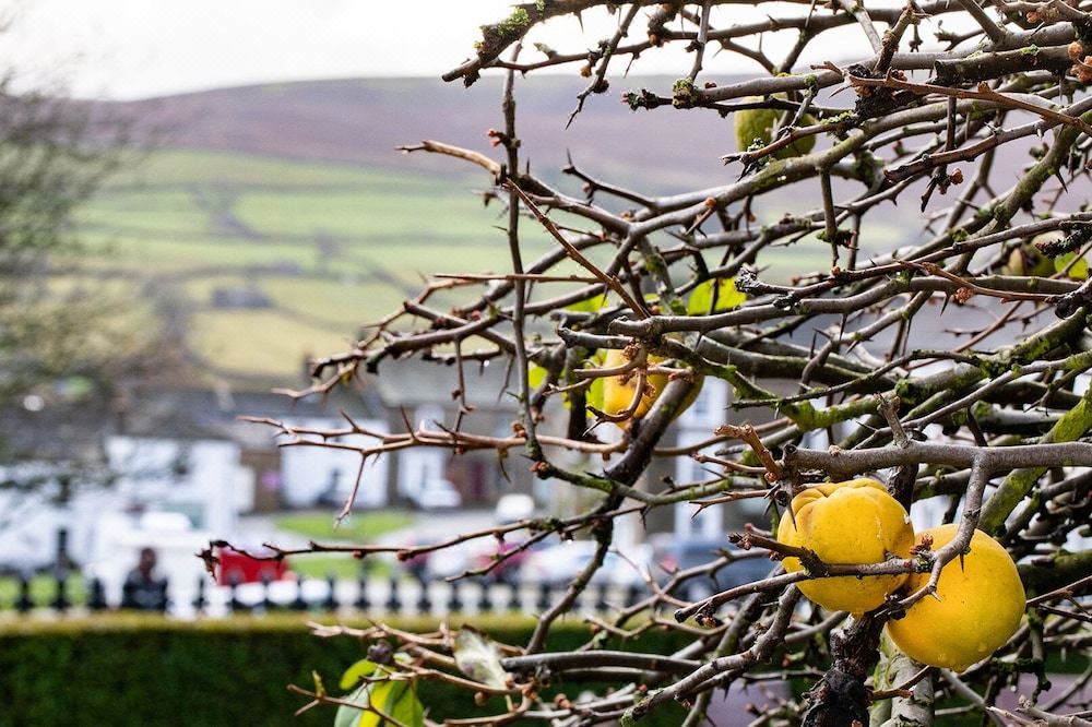 Photo of Others in Reeth