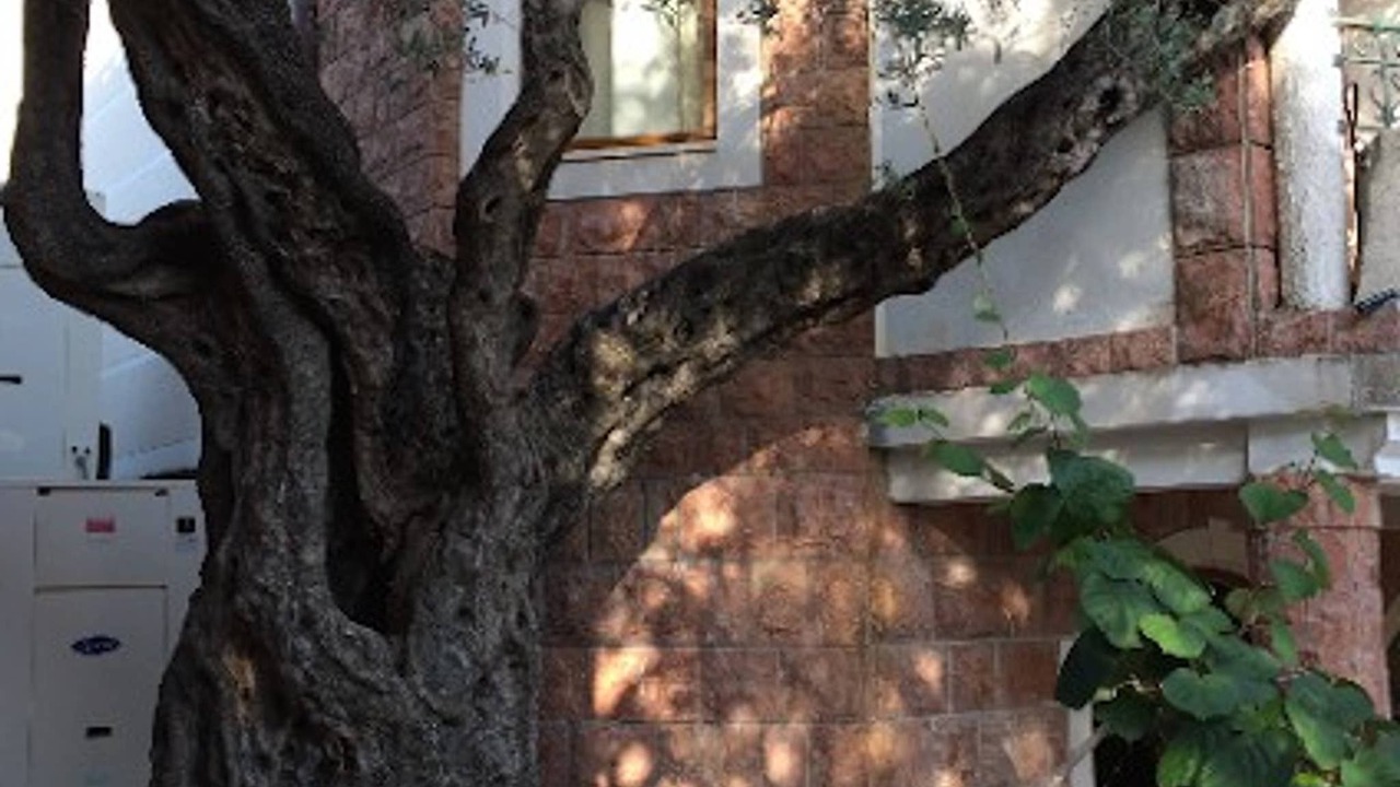 Photo of Buildings in Sveti Stefan