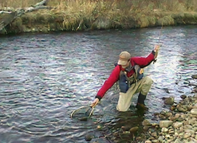 Photo of Others in Provo