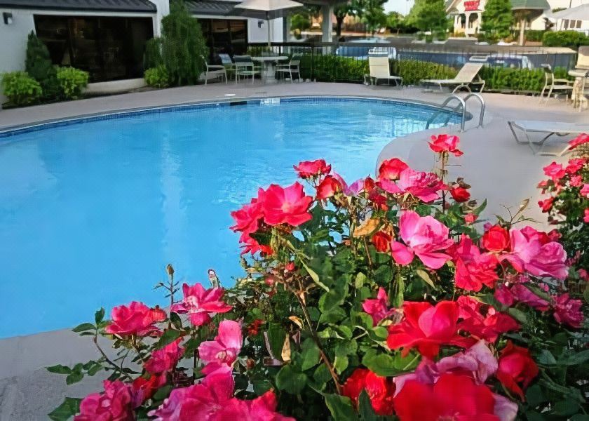 Photo of Outdoor in Dalton
