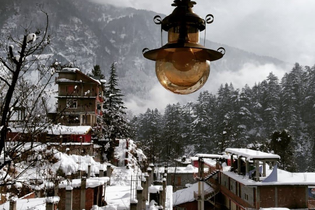 Photo of Others in Old Manali