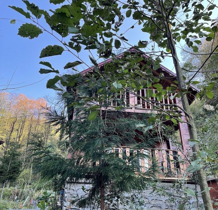 Photo of Others in Ayder