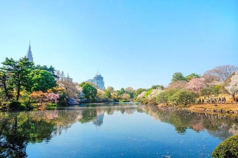 Photo of Outdoor in Minamiotsuka