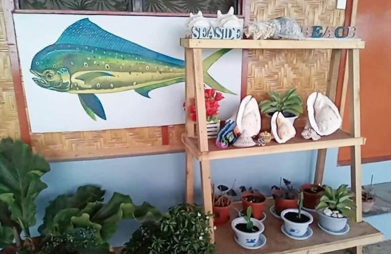 Photo of Others in Oslob