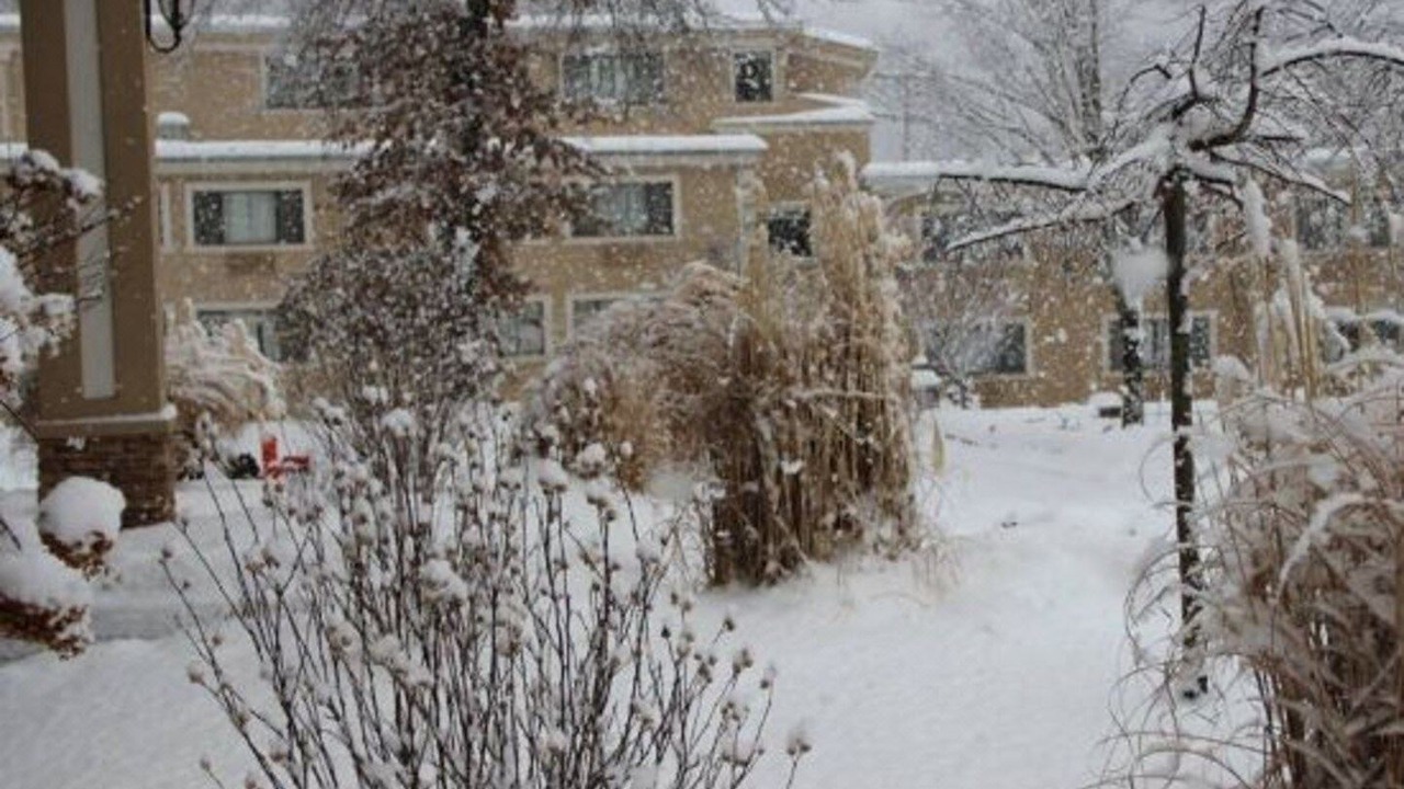 Photo of Buildings in Town of Delaware