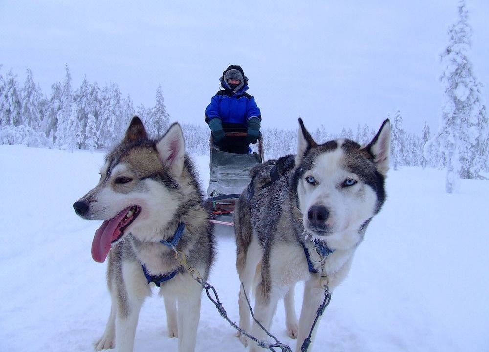 Photo of Human In Picture in Salla