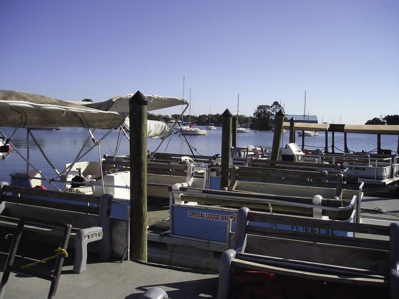 Photo of Others in Crystal River
