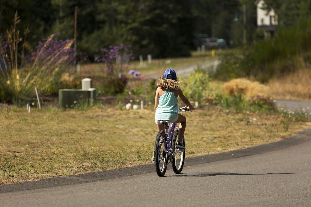 Photo of Human In Picture in Port Ludlow