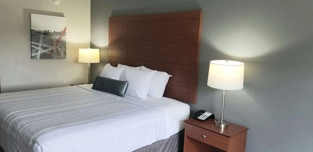 Photo of Bedroom in Lexington