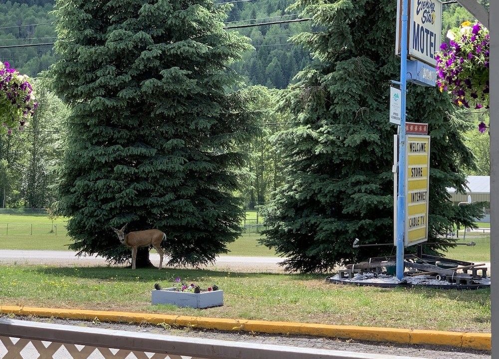 Photo of Others in Greenwood
