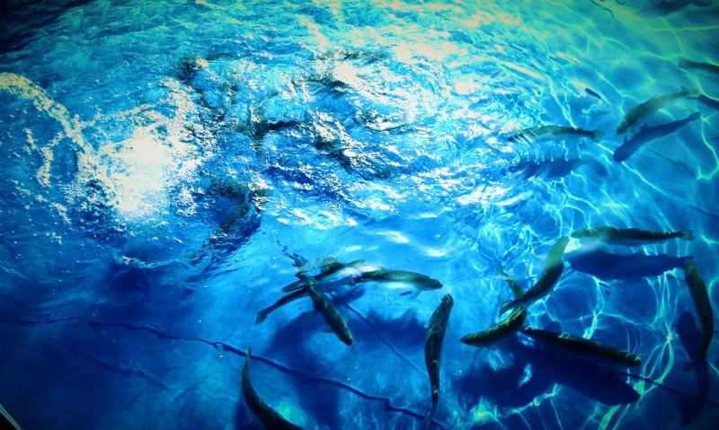 Photo of Outdoor in Samgong-ri