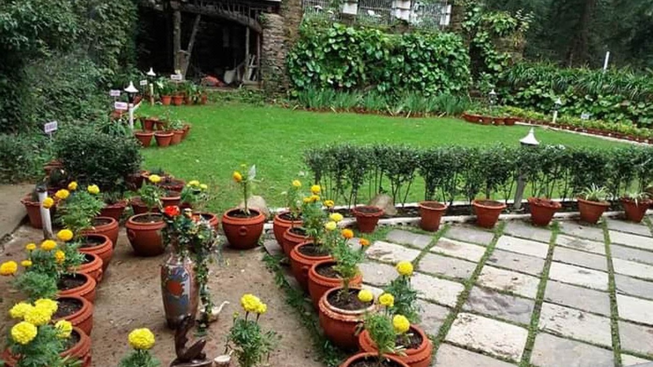 Photo of Others in Shimla