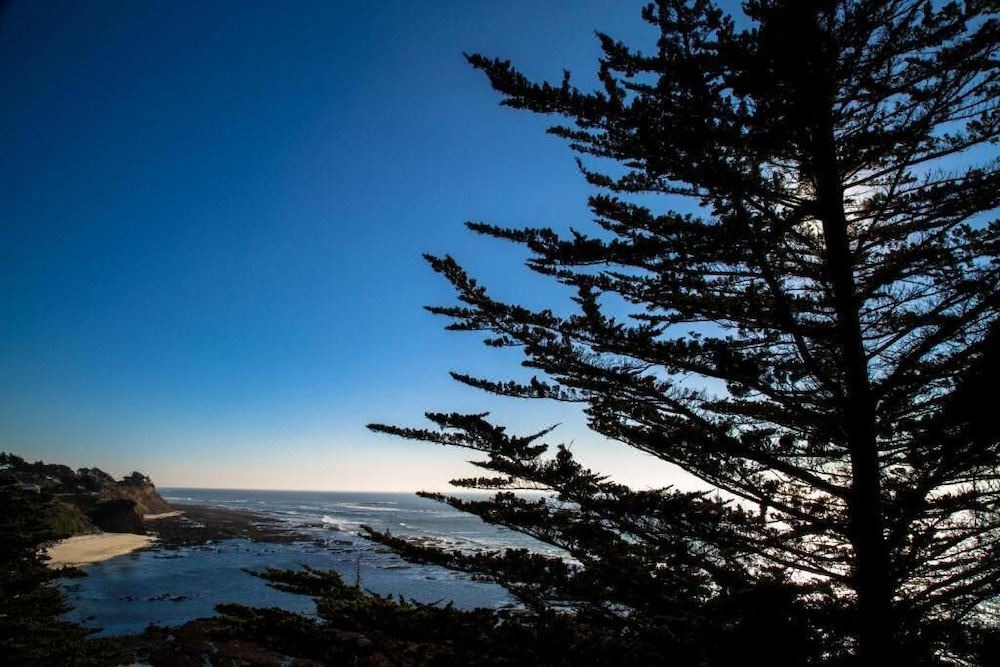 Photo of Others in Moss Beach
