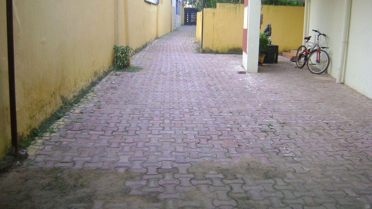 Photo of Others in Bhubaneshwar