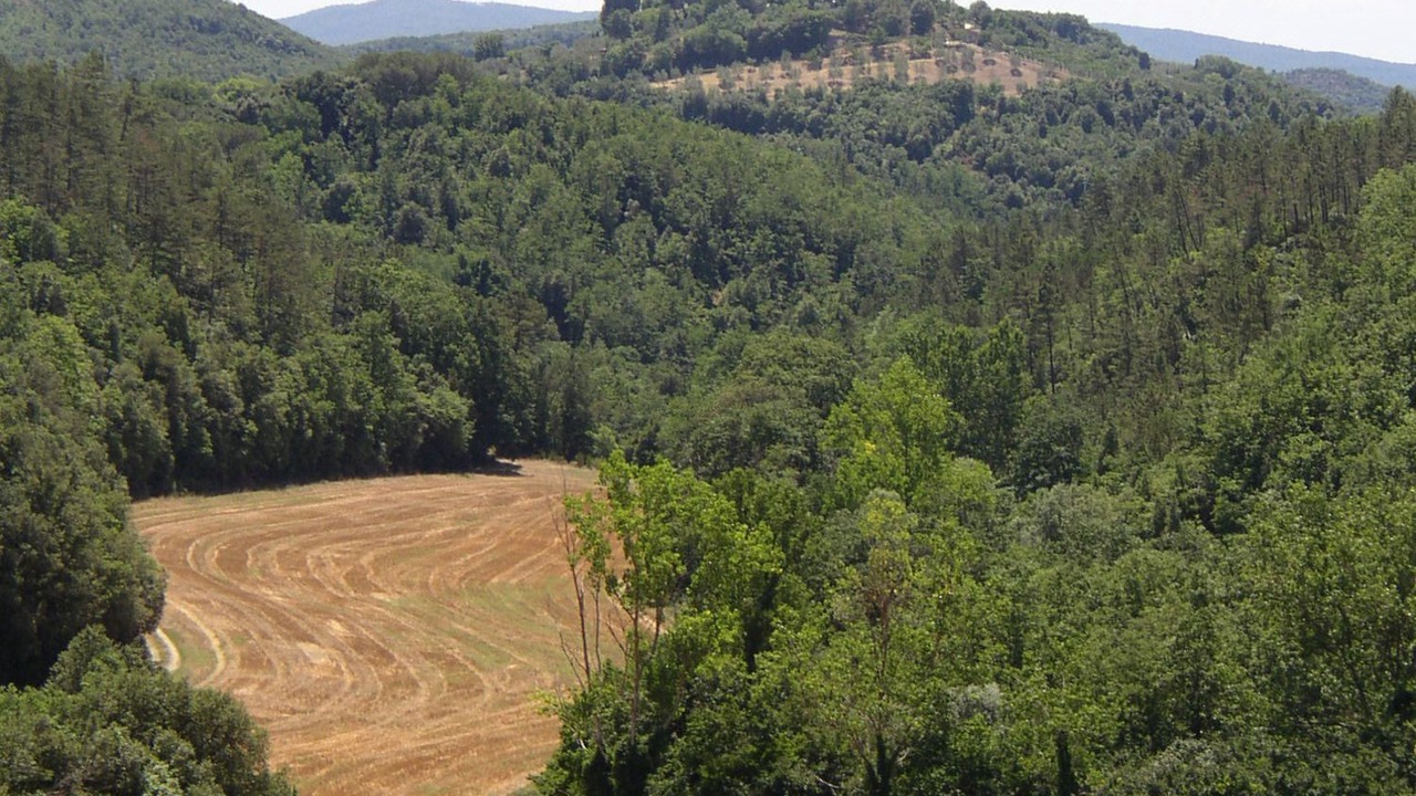 Photo of Outdoor in Lupompesi