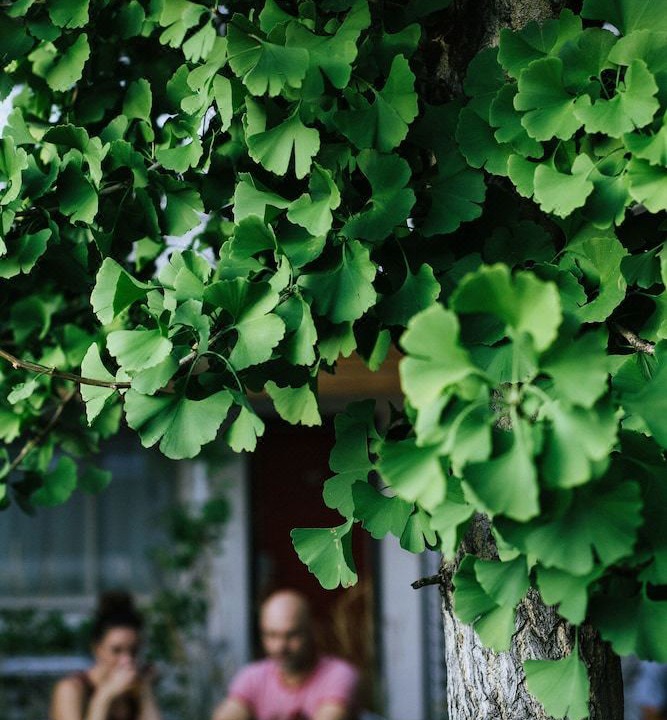 Photo of Patio Balcony in Downtown Boise