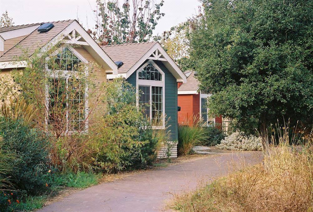Photo of Buildings in Napa