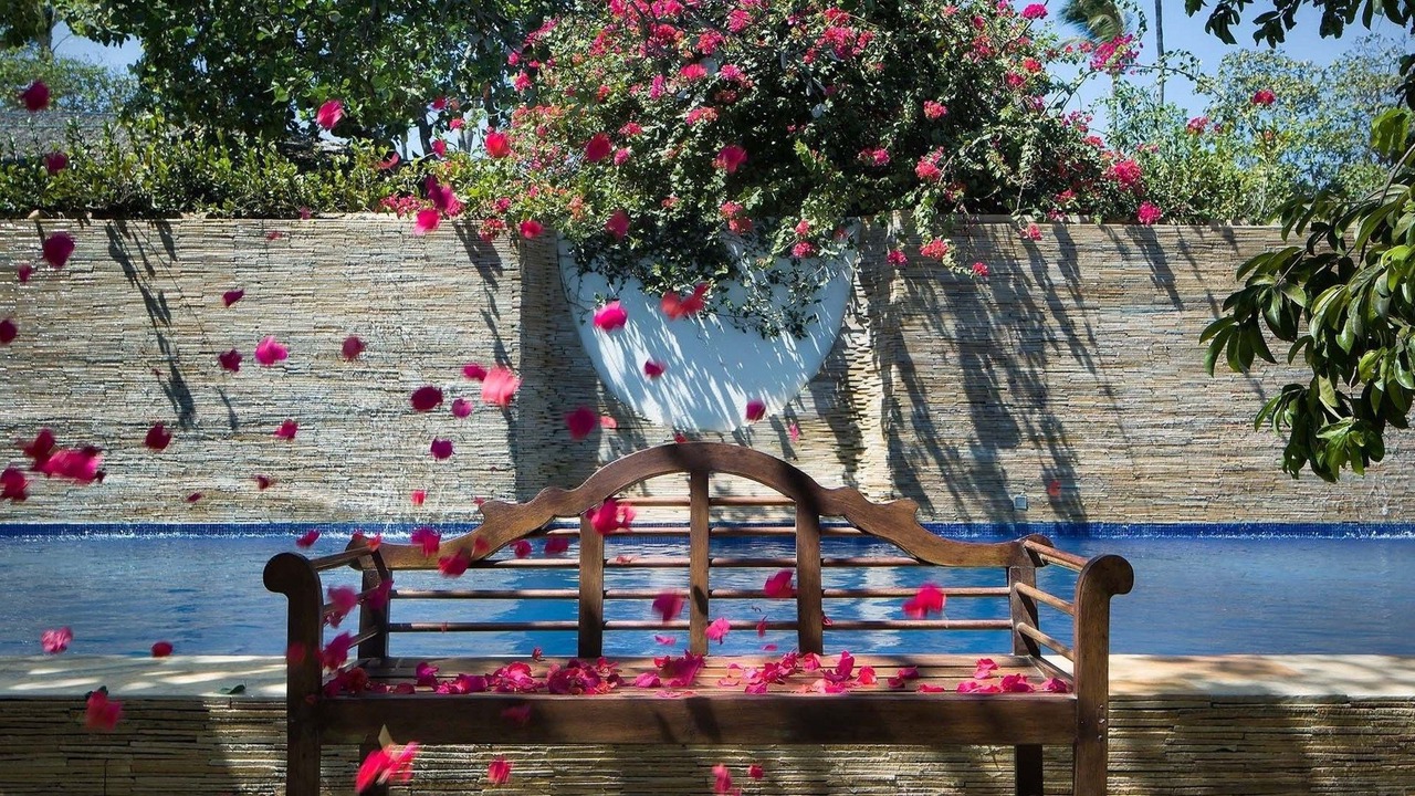 Photo of Others in Jijoca de Jericoacoara