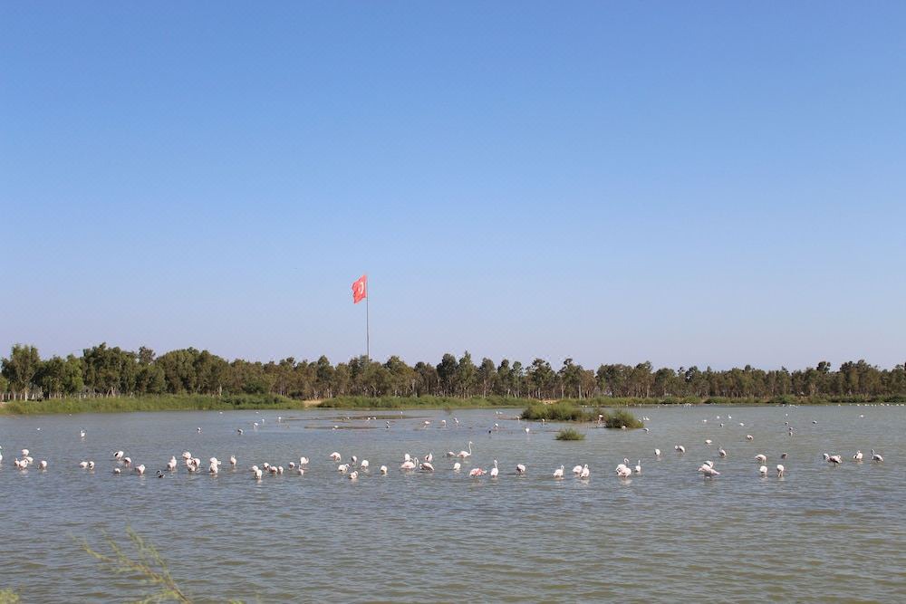 Photo of Outdoor in Aliaga