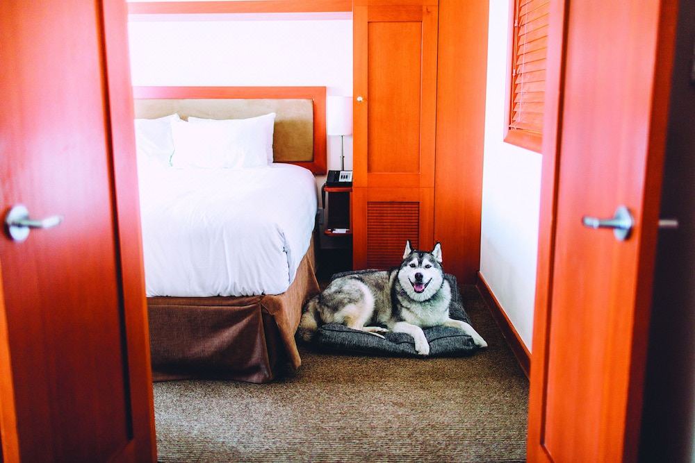 Photo of Bedroom in Whistler Village