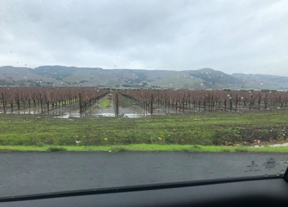 Photo of Others in Healdsburg