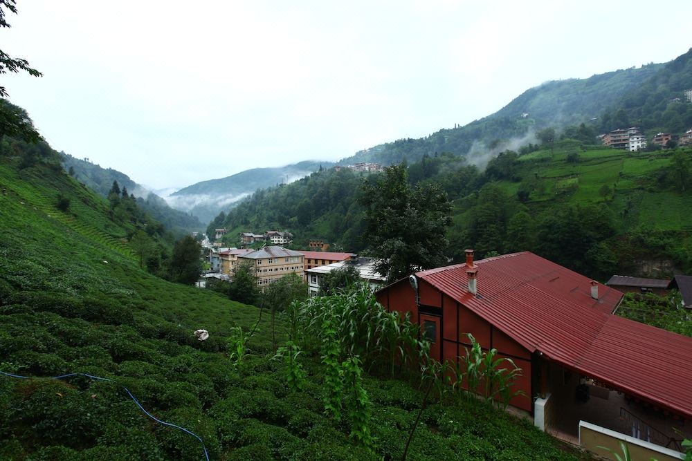 Photo of Others in Cayirduzu