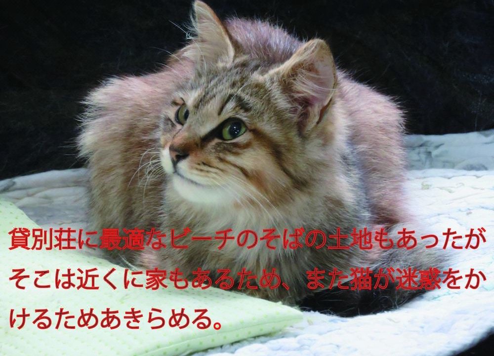 Photo of Others in Gushiken