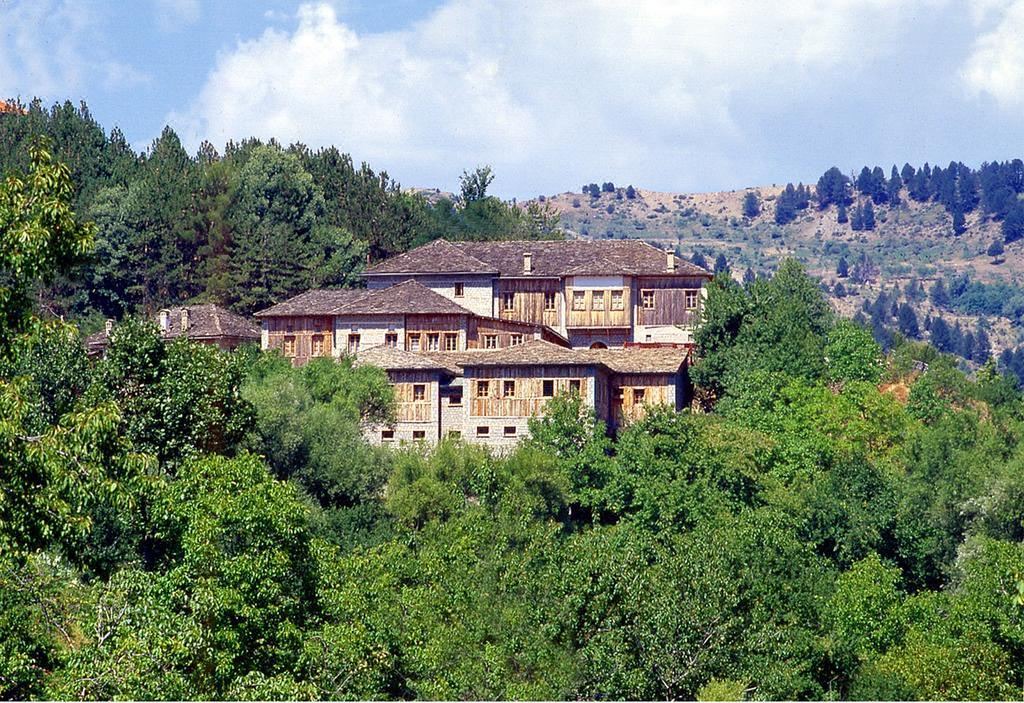 Photo of Buildings in Metsovo