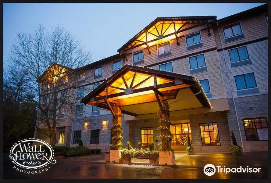 Photo of Buildings in Gig Harbor