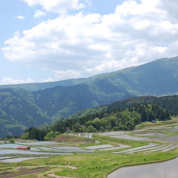 Photo of Outdoor in Yoka