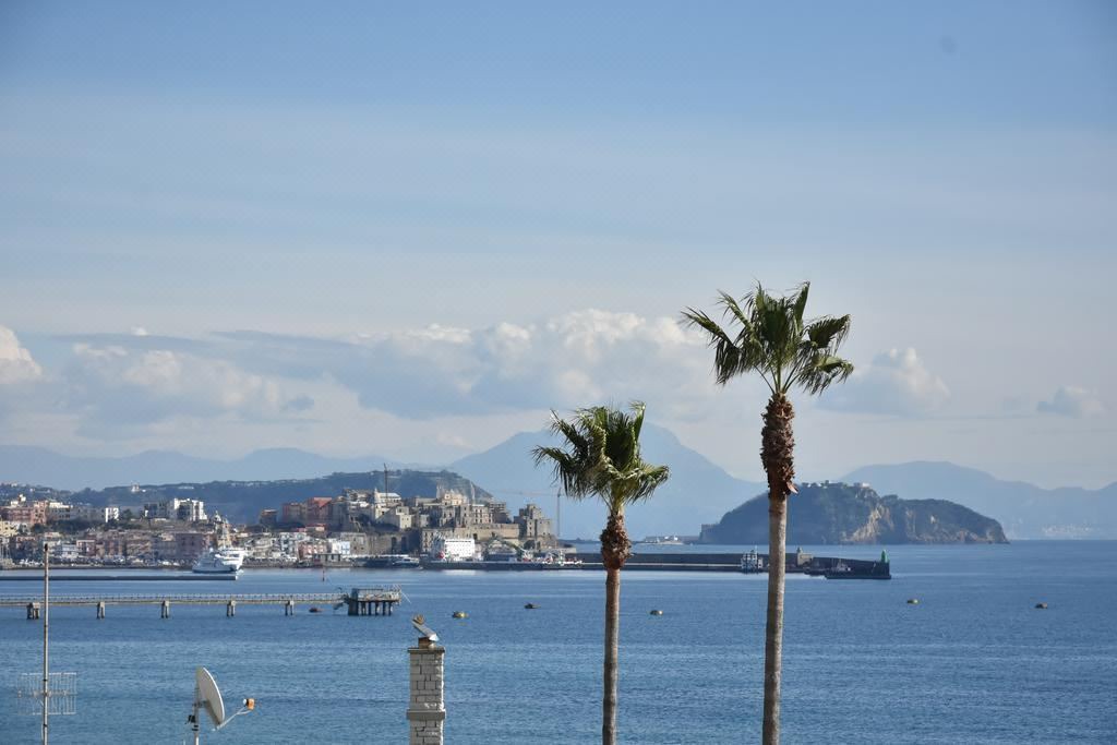 Photo of Outdoor in Licola