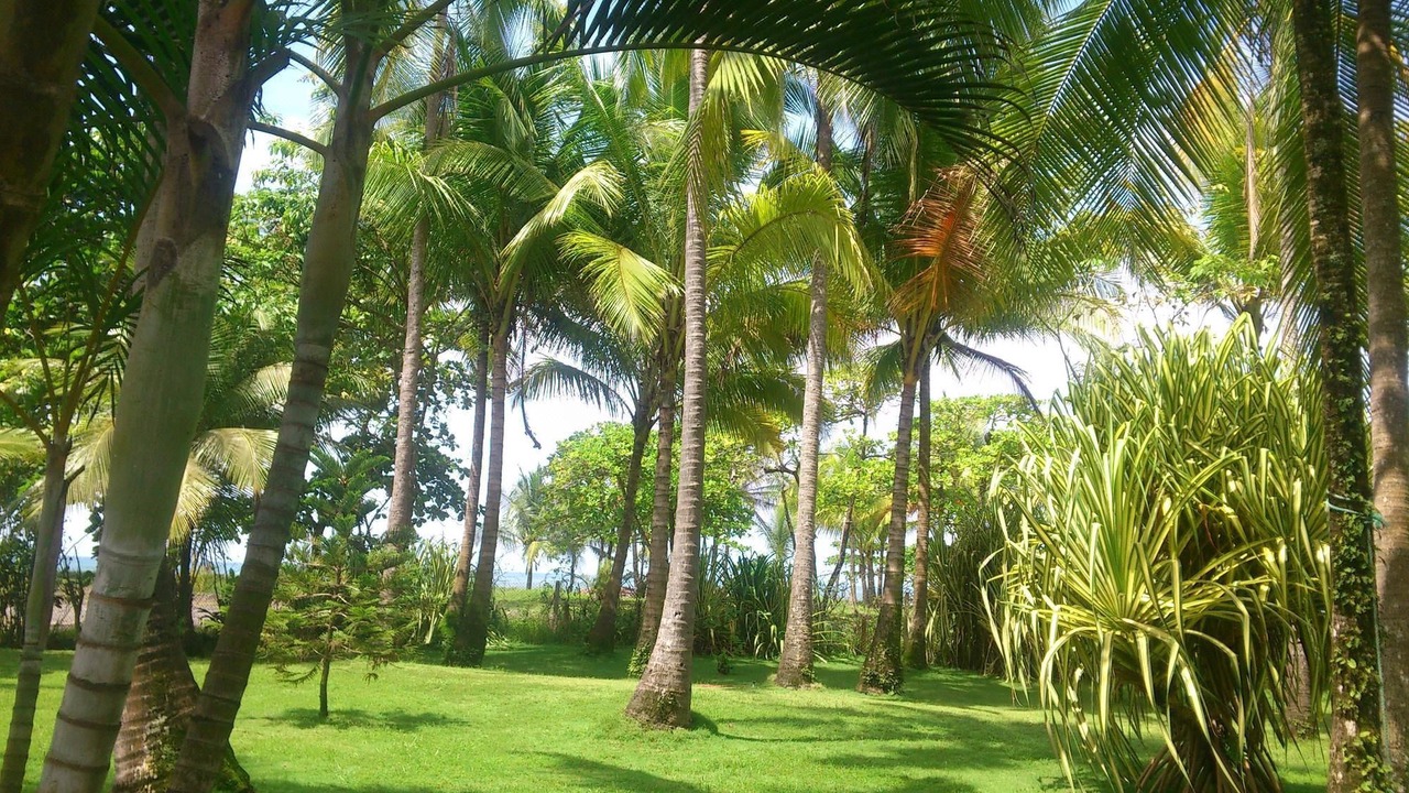 Photo of Outdoor in Parrita