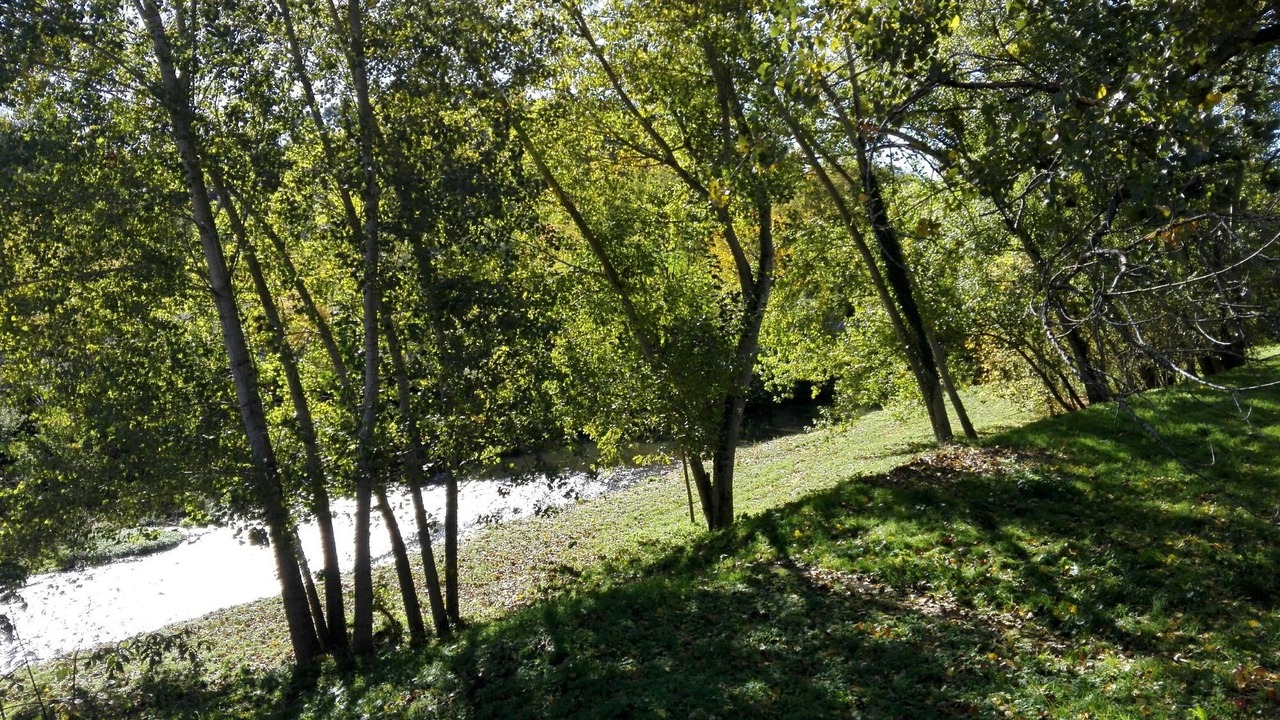 Photo of Outdoor in San Lorenzo