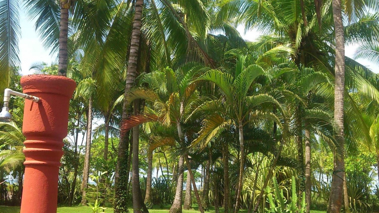 Photo of Others in Parrita