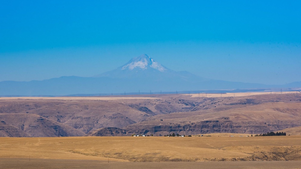 Photo of Outdoor in Condon