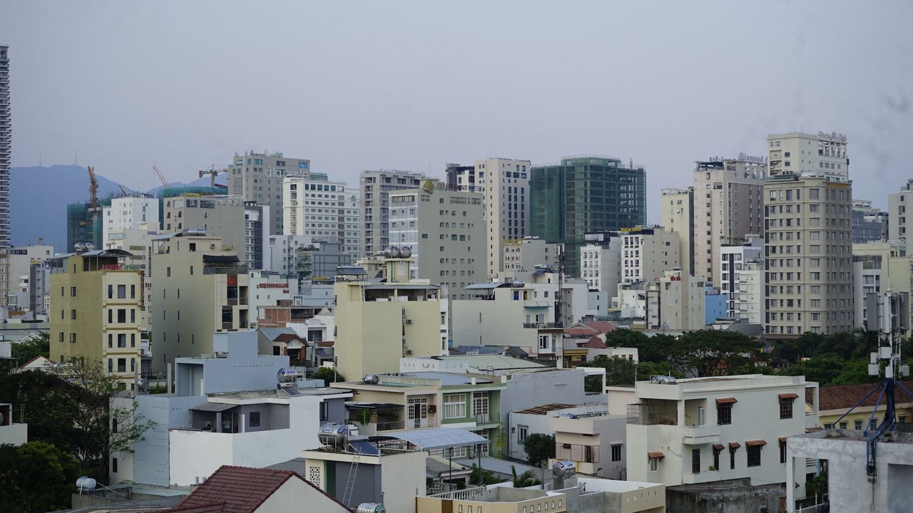 Photo of Others in Son Tra