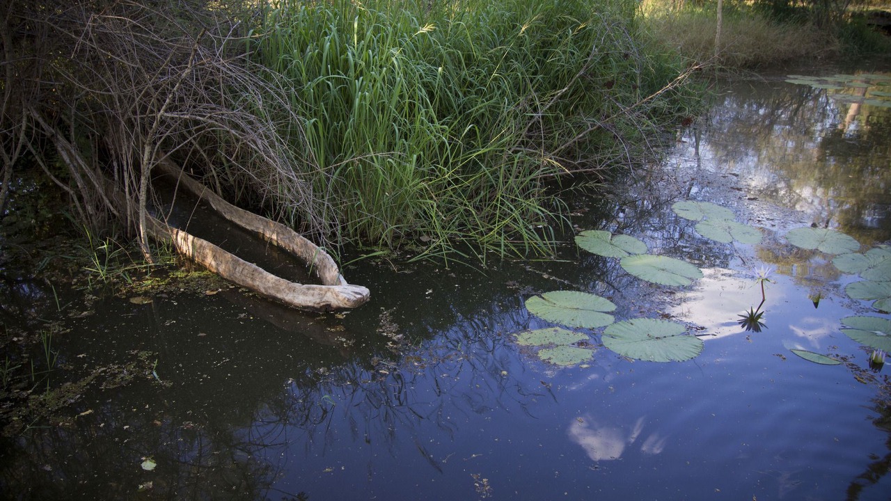Photo of Outdoor in Komanyana