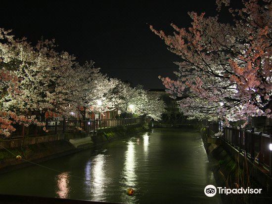 Photo of Others in Nagaoka